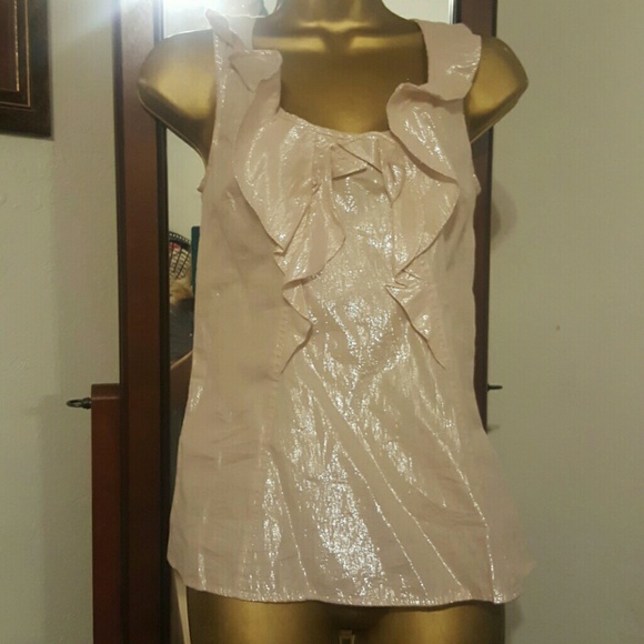 Express Metallic Blouse
