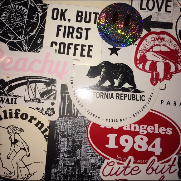 50 random brandy melville stickers for $12