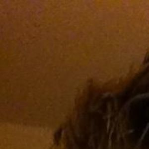 Meet your Posher, Hughbert