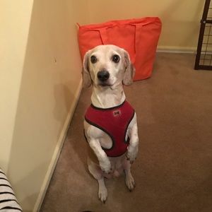 Meet your Posher, Ivan