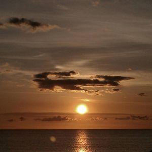 Meet your Posher, Teresa