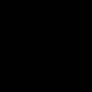 Meet your Posher, Asia