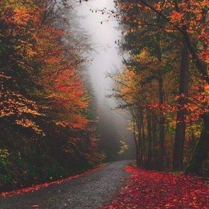 Meet your Posher, Clarissa