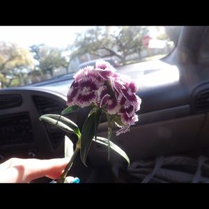 Meet your Posher, Marlene