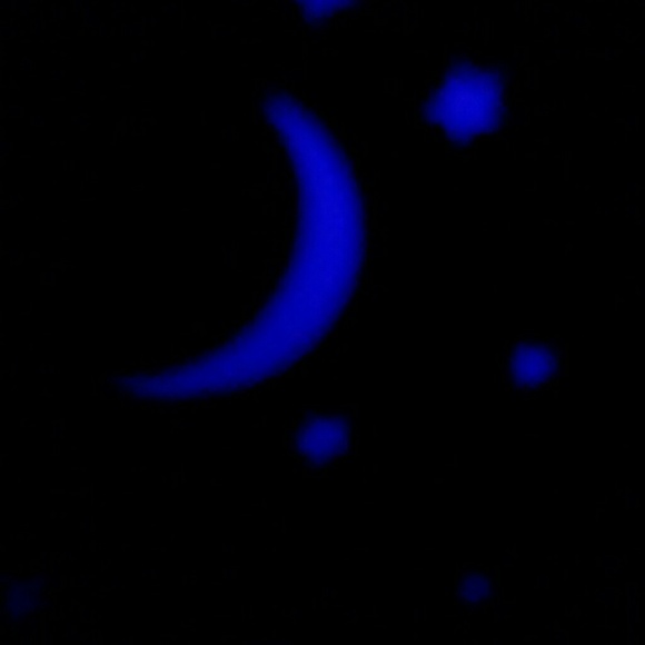 Meet your Posher, Mairinta - Picture 1 of 1