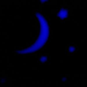 Meet your Posher, Mairinta