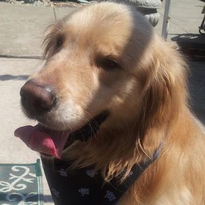 Meet your Posher, Mary ann