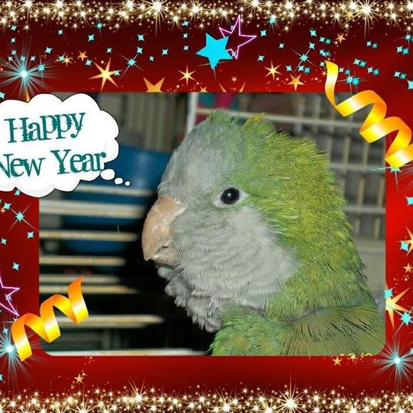 Meet your Posher, Barbara - Picture 1 of 1