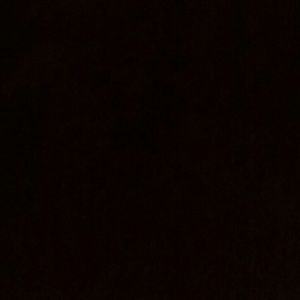 Meet your Posher, Deshaun