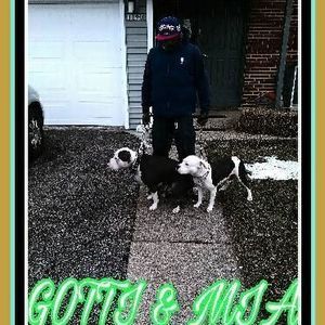 Meet your Posher, Quentin