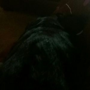 Meet your Posher, Dell