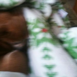 Meet your Posher, Rose