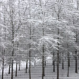 Meet your Posher, Nadia