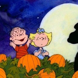 Meet your Posher, Ty