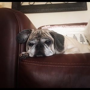 Meet your Posher, Erin