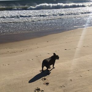 Meet your Posher, Michele