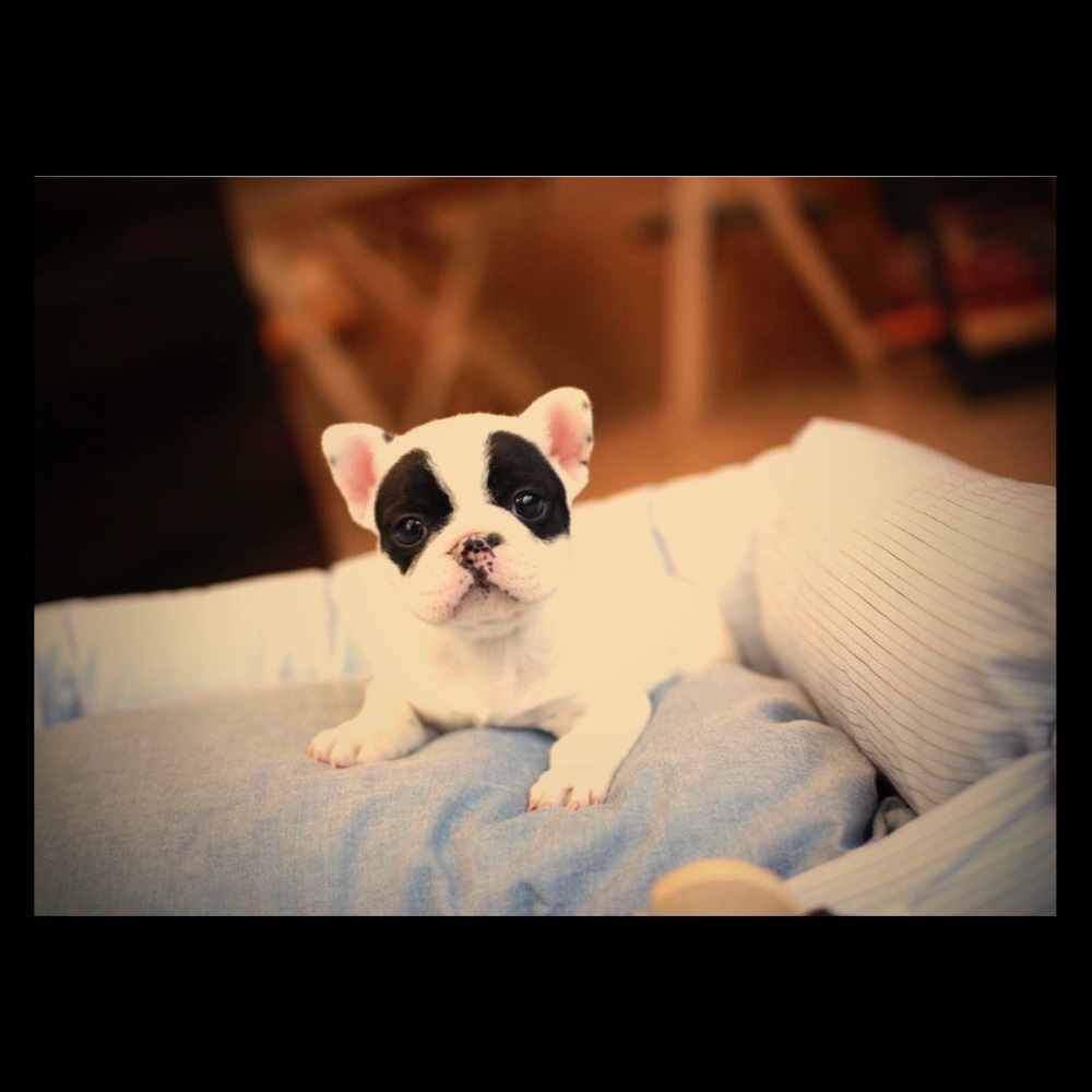 Meet your Posher, Crizel