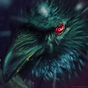 Meet your Posher, Donnie william