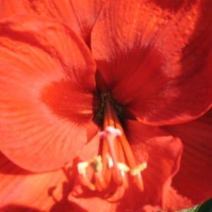 Meet your Posher, Cary