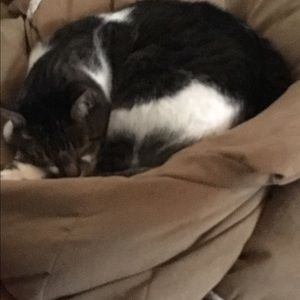 Meet your Posher, Dawn