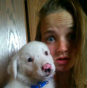 Meet your Posher, Kamber