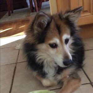 Meet your Posher, Tim