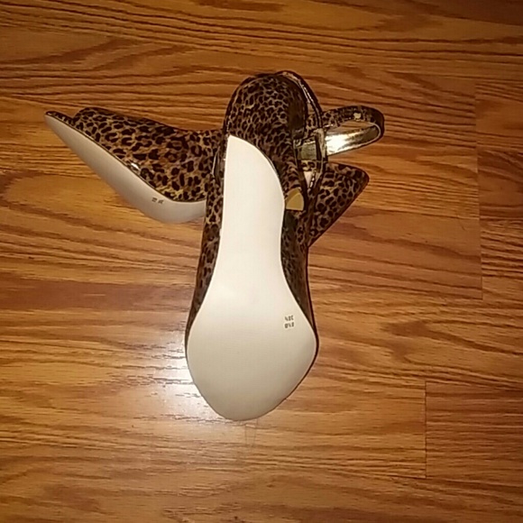 Animal - Picture 3 of 3