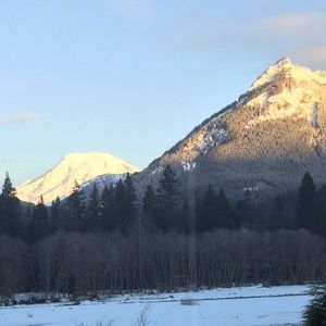 Meet your Posher, Tami