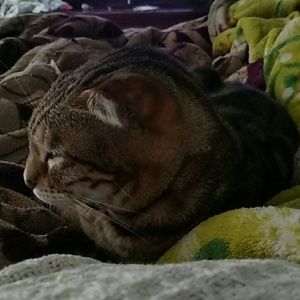 Meet your Posher, Heather