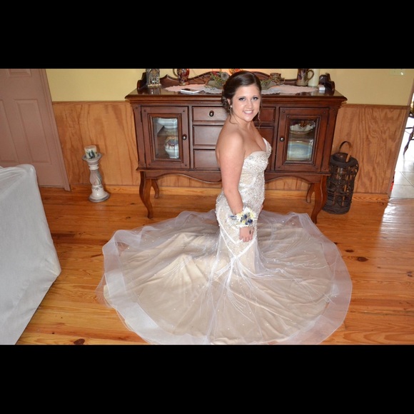 Size 4 Panoply prom dress - Picture 1 of 3