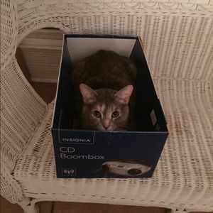 Meet your Posher, Robin