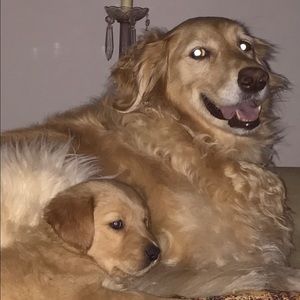 Meet your Posher, Marci