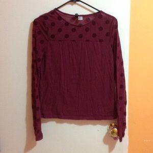 Mesh Polka Dot Long Sleeve