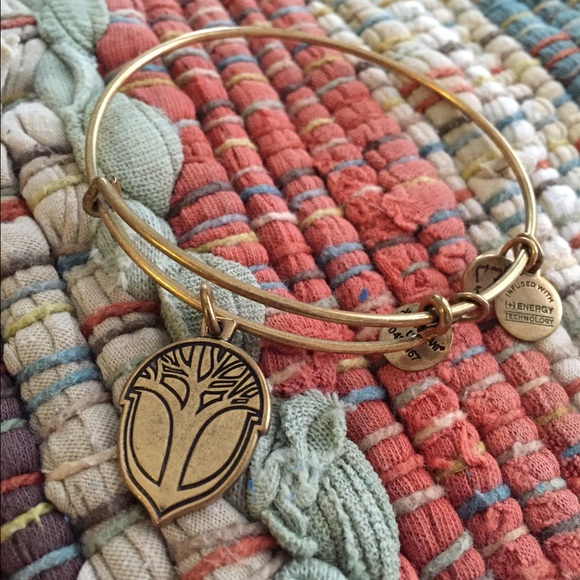 Alex and Ani Bangle