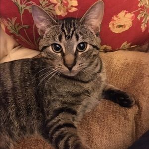 Meet your Posher, Erin