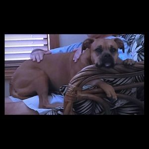 MY FUR CHILD - please read