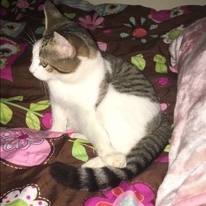 Meet your Posher, Barbara