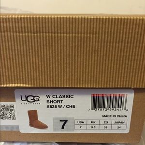 BRAND NEW NEVER WORN UGGS