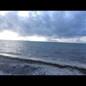 Meet your Posher, Sandy