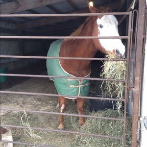 Meet your Posher, Brittany