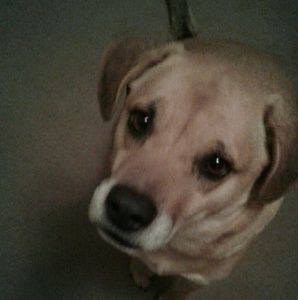 Meet your Posher, Karla