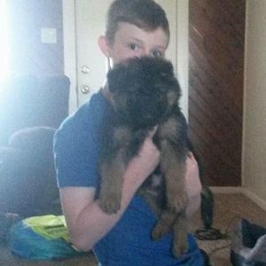 Meet your Posher, Brentyn