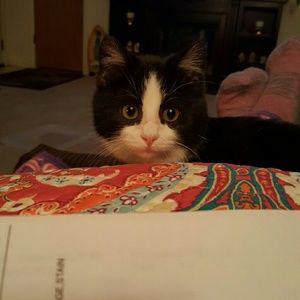 Meet your Posher, Stacey