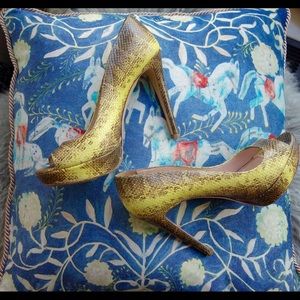 Miu Miu neon dyed python pumps