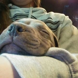 Meet your Posher, Caroline