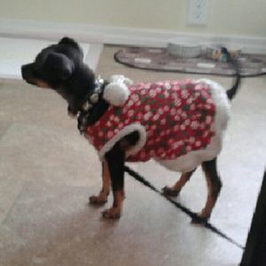 Meet your Posher, Angela