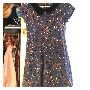 Adorable Peter Pan collar dress! #modcloth