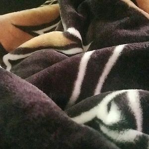 Meet your Posher, Comesha