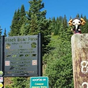 Meet your Posher, Brandi