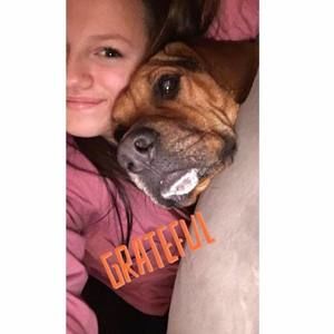 Meet your Posher, Maddie